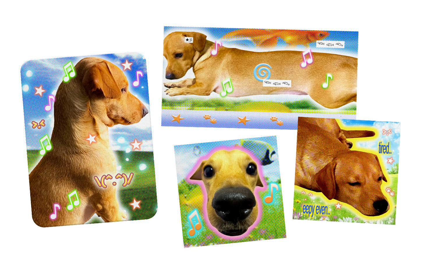 COOPER-WORLD STICKER