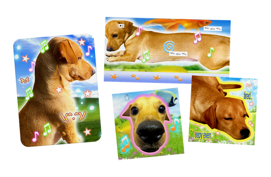 COOPER-WORLD STICKER