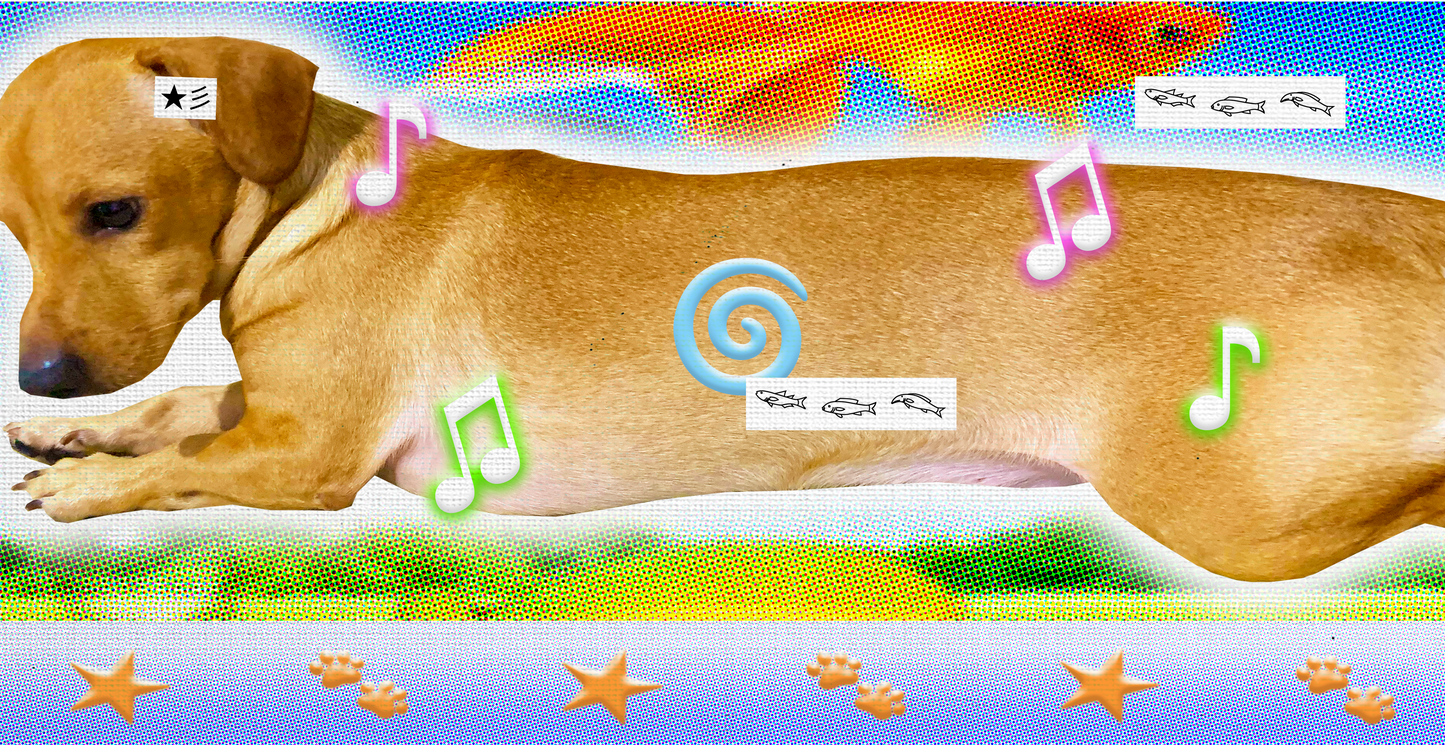 COOPER-WORLD STICKER