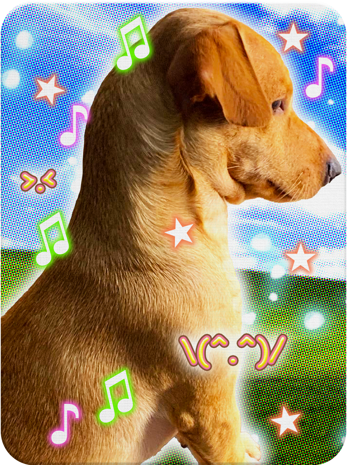 COOPER-WORLD STICKER