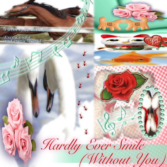 HARDLY EVER SMILE PRINT