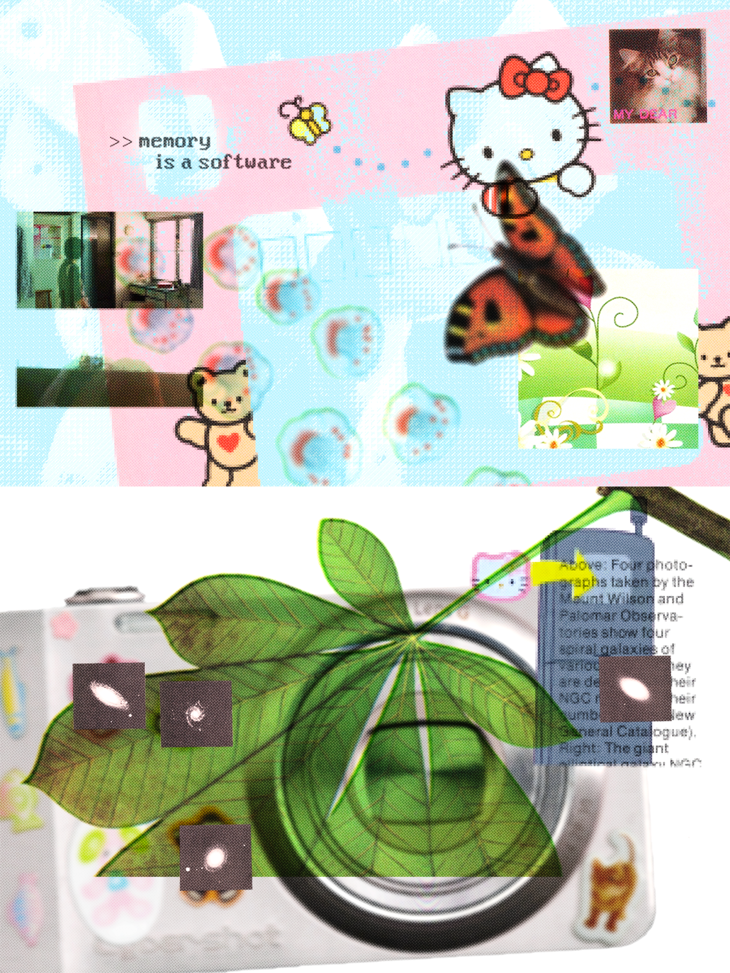 MEMORY IS A SOFTWARE PRINT